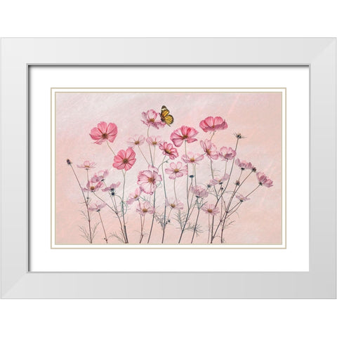 Cosmos And Butterfly White Modern Wood Framed Art Print with Double Matting by Jacobs, Lydia