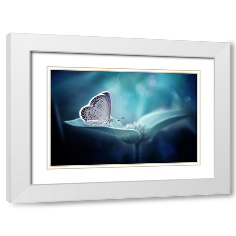 In Serenity White Modern Wood Framed Art Print with Double Matting by Maududdin, Fauzan