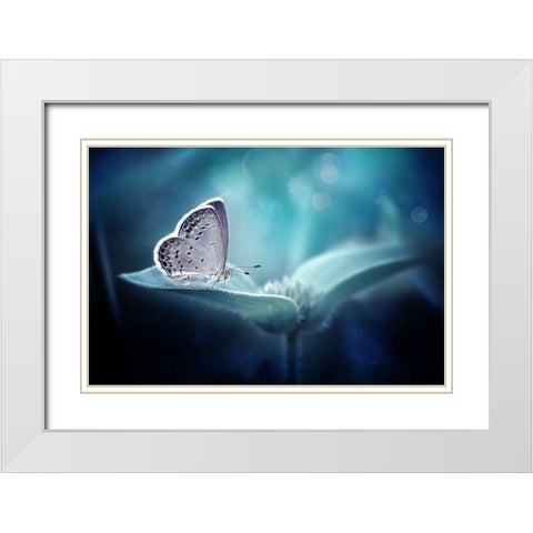 In Serenity White Modern Wood Framed Art Print with Double Matting by Maududdin, Fauzan