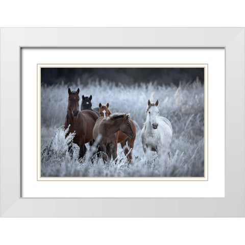 One Frosty Morning.. White Modern Wood Framed Art Print with Double Matting by Sokolovsky, Vlad