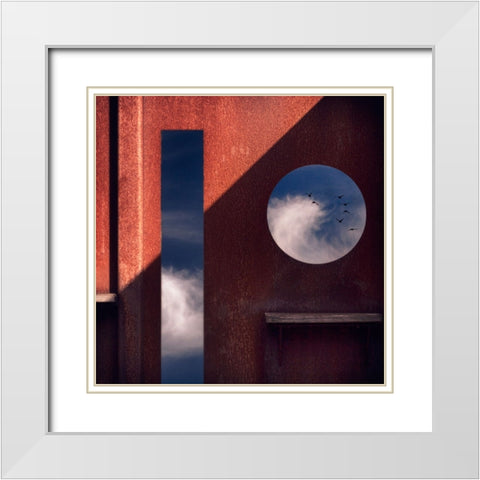 Bird Watching Station White Modern Wood Framed Art Print with Double Matting by Apers, Marc