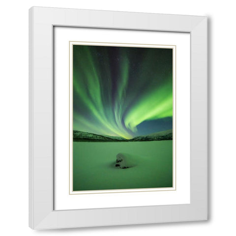 Branching Lights White Modern Wood Framed Art Print with Double Matting by Mikelborg, Niklas