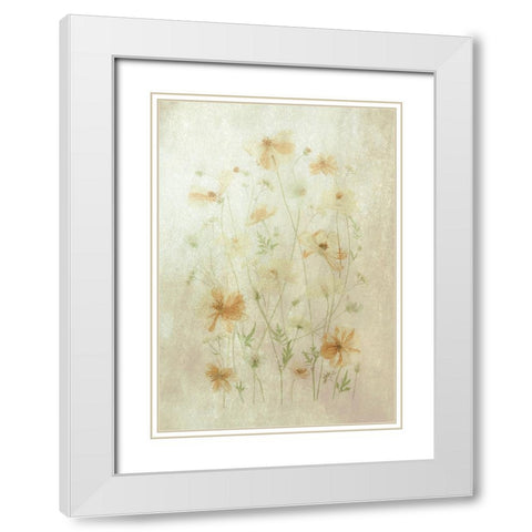 Yellow Cosmos White Modern Wood Framed Art Print with Double Matting by Zhou, Fangping