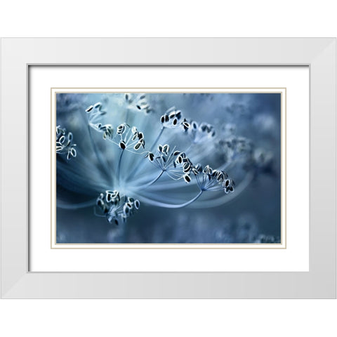 Dill White Modern Wood Framed Art Print with Double Matting by Disher, Mandy