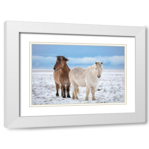 B R O T H E R S White Modern Wood Framed Art Print with Double Matting by Fegari