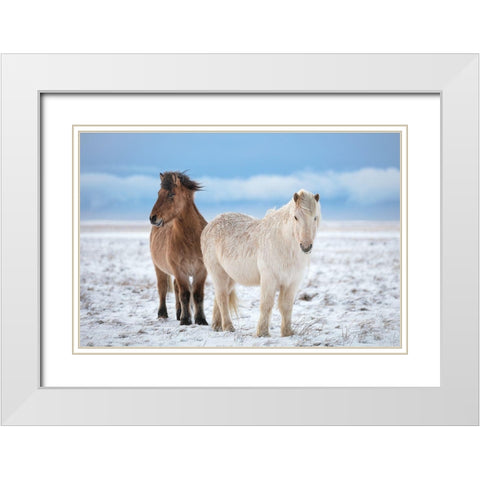 B R O T H E R S White Modern Wood Framed Art Print with Double Matting by Fegari