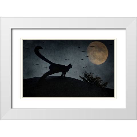 the curious tail of the cat filemon... White Modern Wood Framed Art Print with Double Matting by Fabrowski, Robert