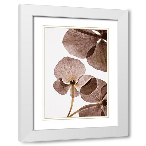 Botanical 5 White Modern Wood Framed Art Print with Double Matting by Lenka