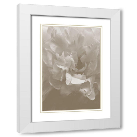 Peony_9 White Modern Wood Framed Art Print with Double Matting by 1x Studio III