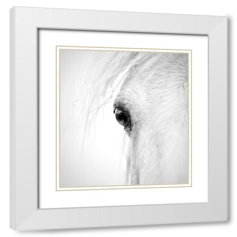 Hose eye White Modern Wood Framed Art Print with Double Matting by Zhao, Alex
