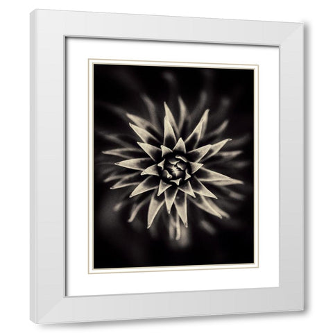 Star. White Modern Wood Framed Art Print with Double Matting by Salem, Saad