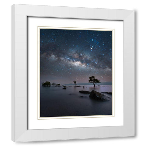 Chidiya Tapu White Modern Wood Framed Art Print with Double Matting by Chander, Vikas