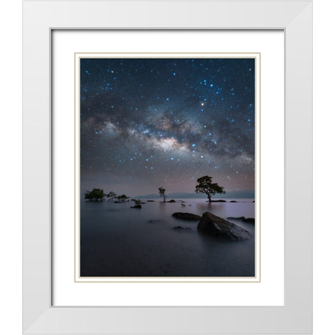 Chidiya Tapu White Modern Wood Framed Art Print with Double Matting by Chander, Vikas