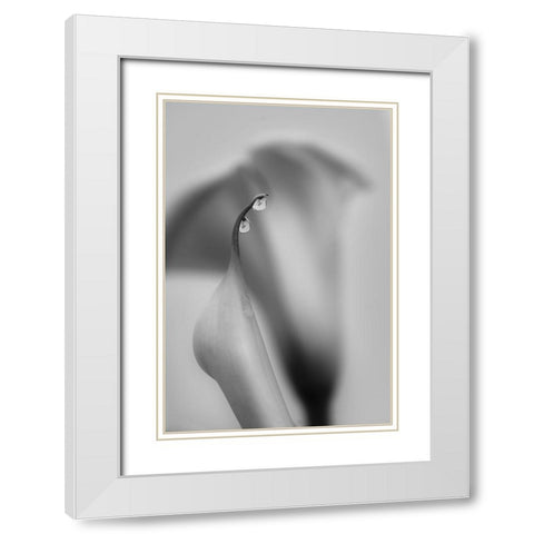 Two Drops White Modern Wood Framed Art Print with Double Matting by Chenglu, Simon