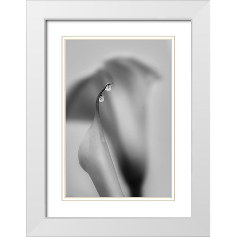 Two Drops White Modern Wood Framed Art Print with Double Matting by Chenglu, Simon