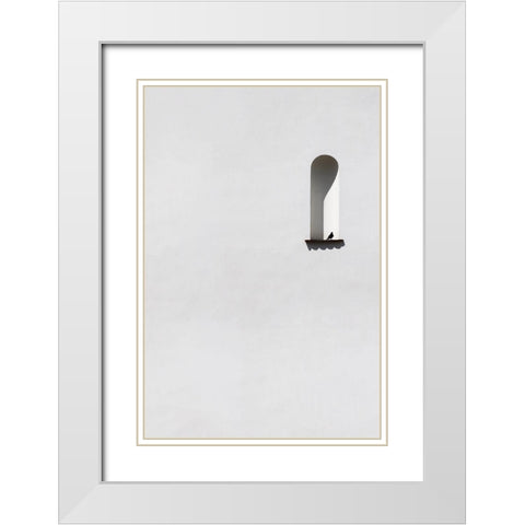 Single dove White Modern Wood Framed Art Print with Double Matting by Cederberg, Marcus