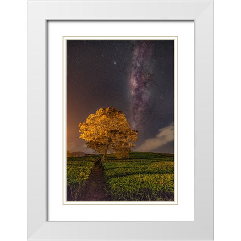 milky way White Modern Wood Framed Art Print with Double Matting by Liza, Lety