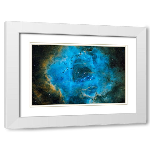 Rosette White Modern Wood Framed Art Print with Double Matting by Chander, Vikas