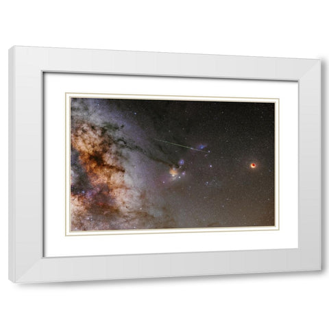 A Little Surprise White Modern Wood Framed Art Print with Double Matting by Ionut Dascalu, Andrei