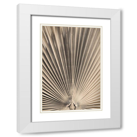 Solaris 07 White Modern Wood Framed Art Print with Double Matting by 1x Studio III