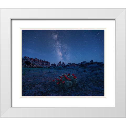 Milky Way Over Blooming Cactus In Needles District White Modern Wood Framed Art Print with Double Matting by Xu, Mei