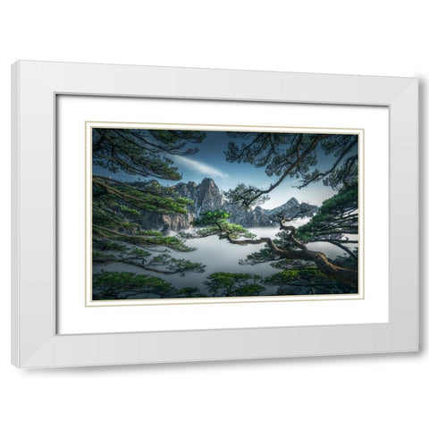 Strange Pine Tree In Yellow Mountain White Modern Wood Framed Art Print with Double Matting by Ye, Ningyun