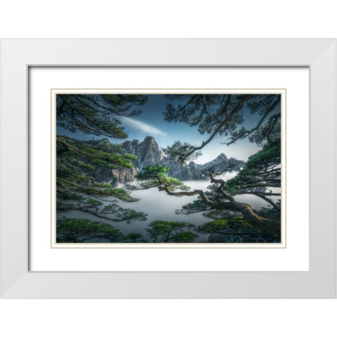 Strange Pine Tree In Yellow Mountain White Modern Wood Framed Art Print with Double Matting by Ye, Ningyun