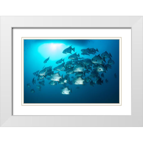 School Time White Modern Wood Framed Art Print with Double Matting by Y Lin, Ryan