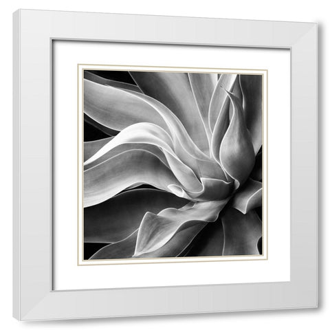 Agave Abstract, Summer 2022 White Modern Wood Framed Art Print with Double Matting by Wechsler, Robin