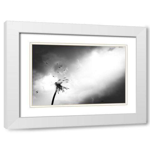 Breath of life White Modern Wood Framed Art Print with Double Matting by Goto, Satoru