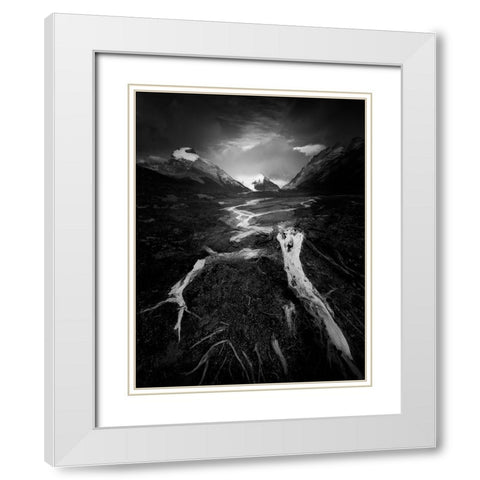 The Wild White Modern Wood Framed Art Print with Double Matting by Li, Bing