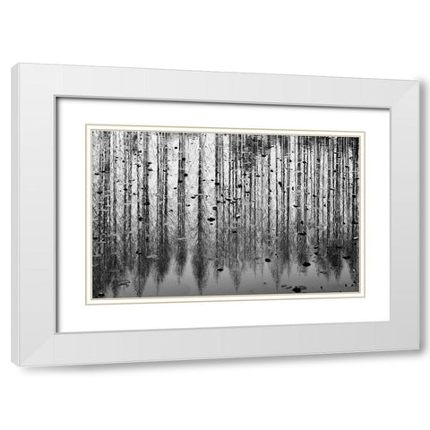 tall reflection White Modern Wood Framed Art Print with Double Matting by Kim, Youngil
