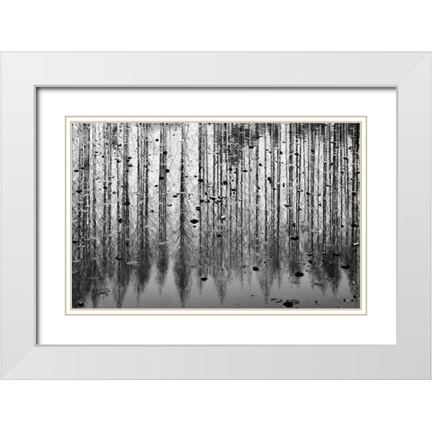 tall reflection White Modern Wood Framed Art Print with Double Matting by Kim, Youngil