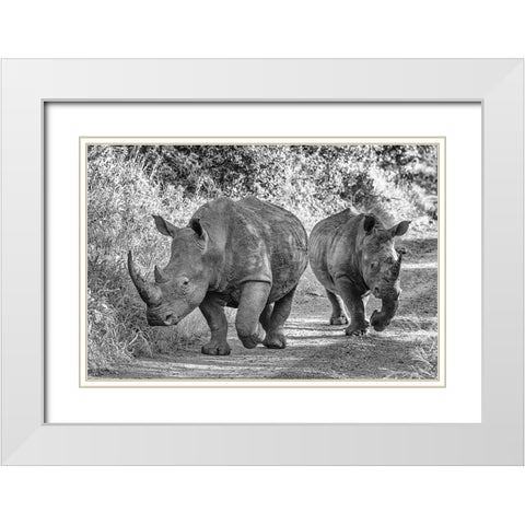 The Two Rhinos - Wildlife III White Modern Wood Framed Art Print with Double Matting by Richter, Regine