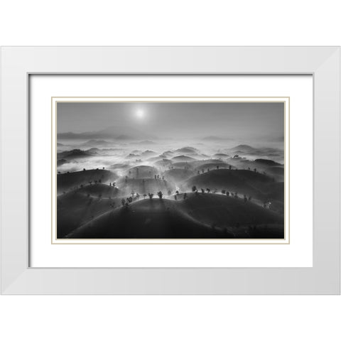 New Day In Long Coc Tea Hill White Modern Wood Framed Art Print with Double Matting by Tan Tuan, Nguyen
