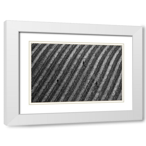 Vineyard White Modern Wood Framed Art Print with Double Matting by Mao, Yun