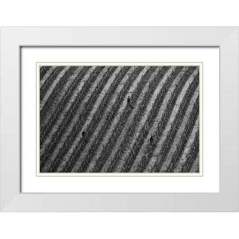 Vineyard White Modern Wood Framed Art Print with Double Matting by Mao, Yun