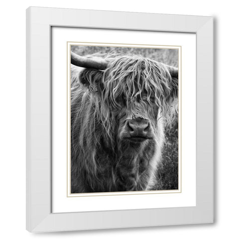 Highland cattle White Modern Wood Framed Art Print with Double Matting by Gronkjar, Lotte