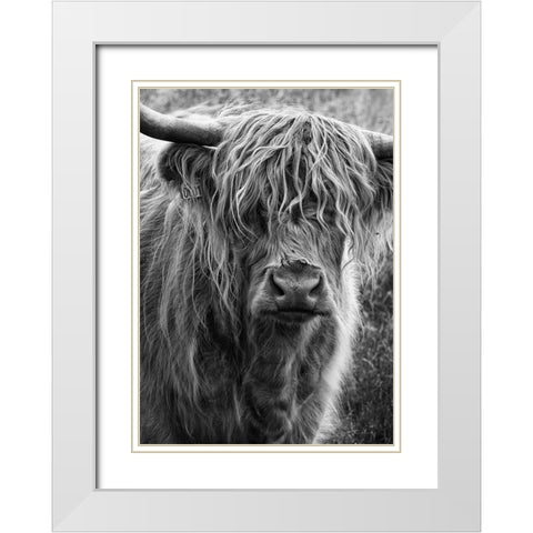 Highland cattle White Modern Wood Framed Art Print with Double Matting by Gronkjar, Lotte