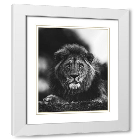Ready White Modern Wood Framed Art Print with Double Matting by Sobhi, Ahmed