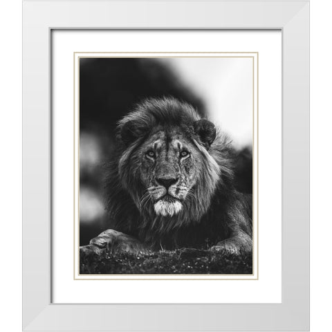 Ready White Modern Wood Framed Art Print with Double Matting by Sobhi, Ahmed