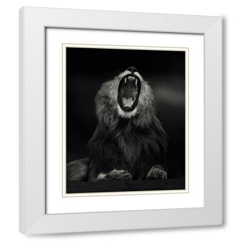 Yawning White Modern Wood Framed Art Print with Double Matting by Sobhi, Ahmed