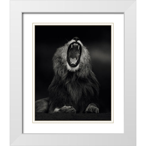 Yawning White Modern Wood Framed Art Print with Double Matting by Sobhi, Ahmed