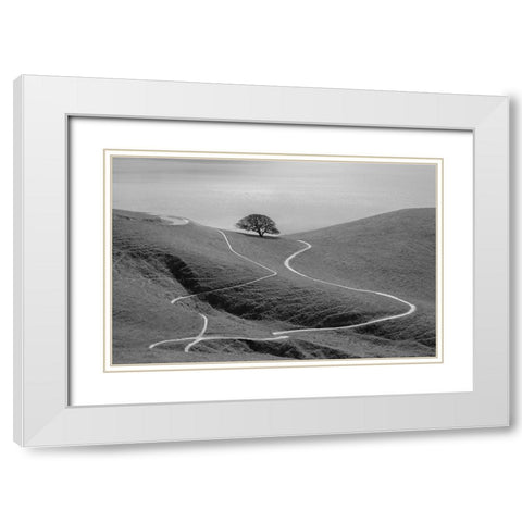 Lonely Tree White Modern Wood Framed Art Print with Double Matting by Mao, Yun