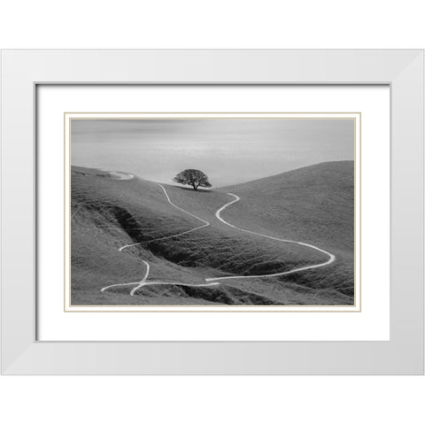Lonely Tree White Modern Wood Framed Art Print with Double Matting by Mao, Yun