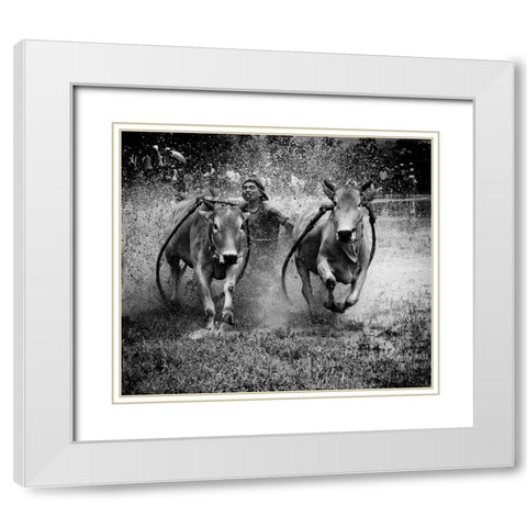 The Bulls Racing White Modern Wood Framed Art Print with Double Matting by Yuk Kong, John