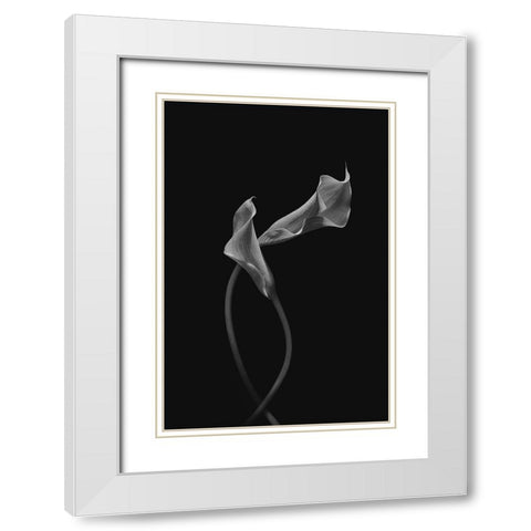 Two Loving Calla Lilies White Modern Wood Framed Art Print with Double Matting by Jacobs, Lydia