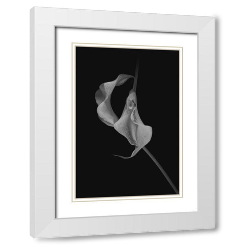 Close Talk White Modern Wood Framed Art Print with Double Matting by Jacobs, Lydia