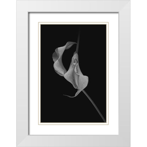 Close Talk White Modern Wood Framed Art Print with Double Matting by Jacobs, Lydia