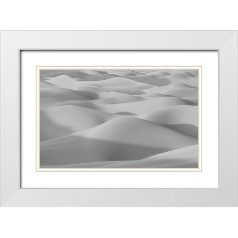 The Curves White Modern Wood Framed Art Print with Double Matting by Qiu, Jenny